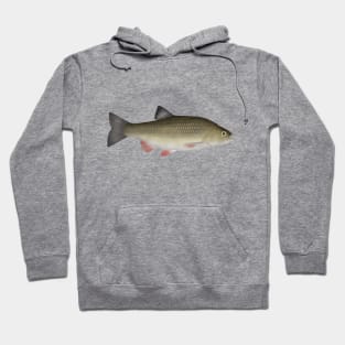 European Chub Hoodie